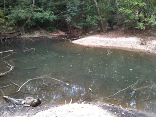 image-20111010175259.png