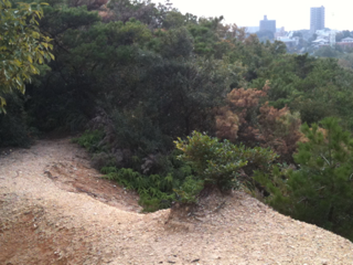 image-20111010175456.png