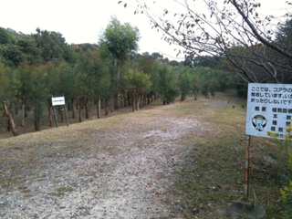image-20111010175621.png