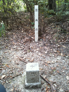 image-20111010175758.png